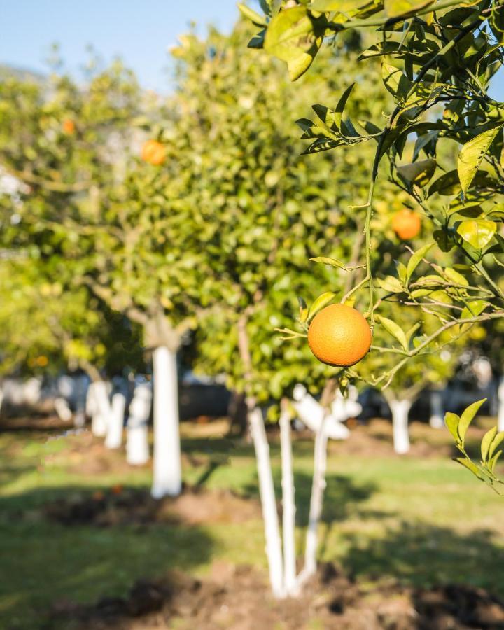 Oase Garden Hotel Çıralı Ngoại thất bức ảnh